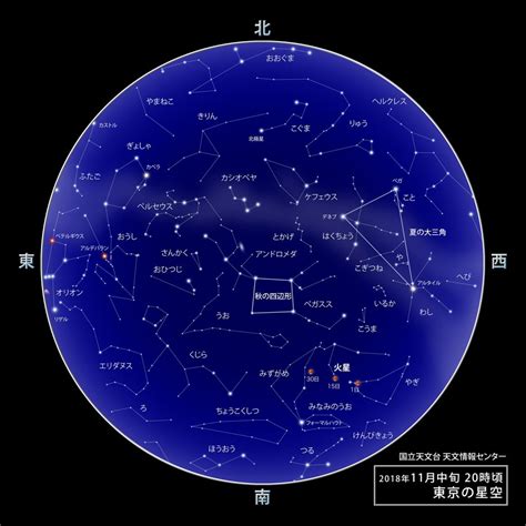 11月11日 星座